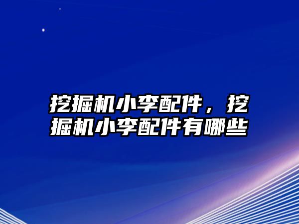 挖掘機小李配件，挖掘機小李配件有哪些