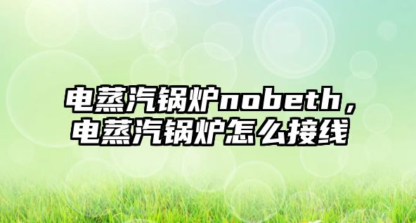 電蒸汽鍋爐nobeth，電蒸汽鍋爐怎么接線