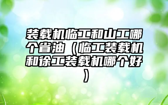 裝載機臨工和山工哪個省油（臨工裝載機和徐工裝載機哪個好）