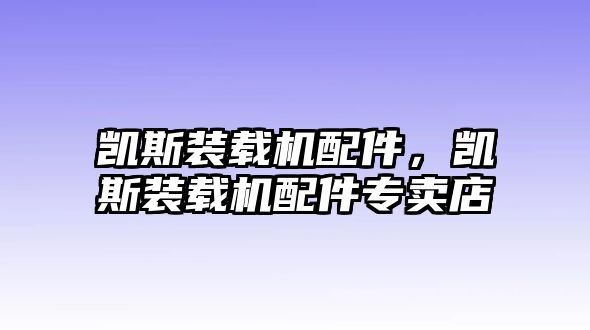 凱斯裝載機配件，凱斯裝載機配件專賣店