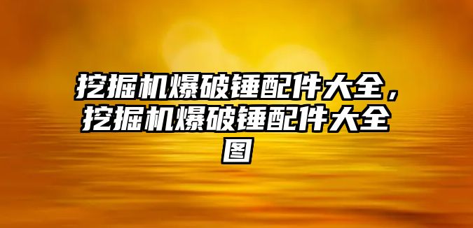 挖掘機爆破錘配件大全，挖掘機爆破錘配件大全圖