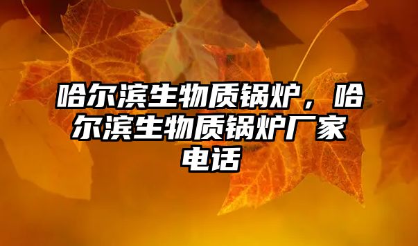 哈爾濱生物質鍋爐，哈爾濱生物質鍋爐廠家電話