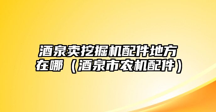 酒泉賣挖掘機配件地方在哪（酒泉市農(nóng)機配件）