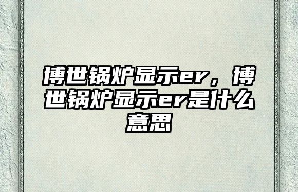 博世鍋爐顯示er，博世鍋爐顯示er是什么意思