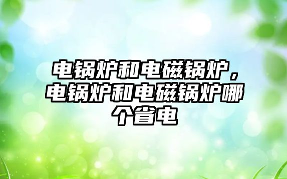 電鍋爐和電磁鍋爐，電鍋爐和電磁鍋爐哪個省電