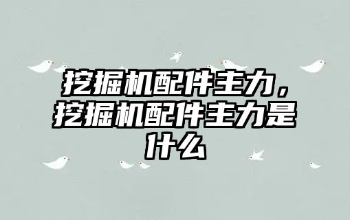 挖掘機配件主力，挖掘機配件主力是什么