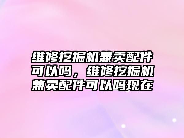 維修挖掘機兼賣配件可以嗎，維修挖掘機兼賣配件可以嗎現在