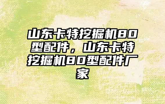 山東卡特挖掘機80型配件，山東卡特挖掘機80型配件廠家