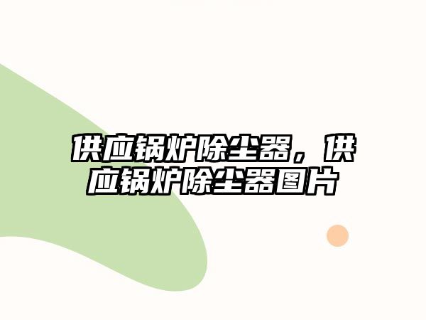 供應(yīng)鍋爐除塵器，供應(yīng)鍋爐除塵器圖片