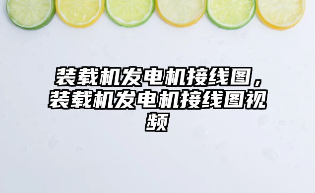 裝載機發電機接線圖，裝載機發電機接線圖視頻