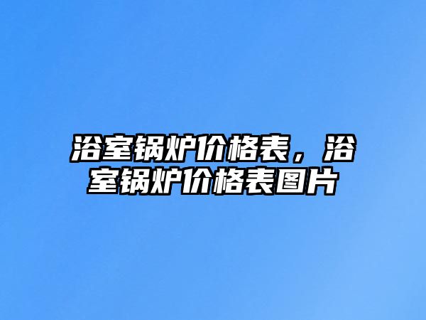 浴室鍋爐價格表，浴室鍋爐價格表圖片