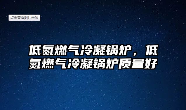 低氮燃氣冷凝鍋爐，低氮燃氣冷凝鍋爐質量好