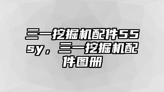 三一挖掘機(jī)配件55sy，三一挖掘機(jī)配件圖冊(cè)