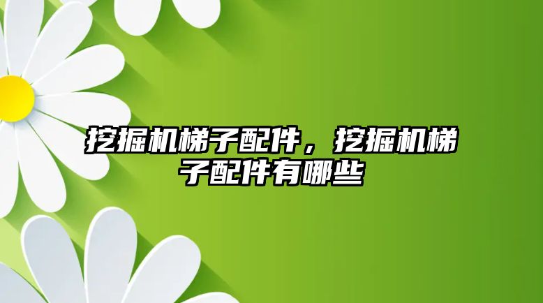 挖掘機梯子配件，挖掘機梯子配件有哪些