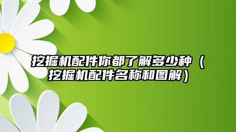 挖掘機配件你都了解多少種（挖掘機配件名稱和圖解）