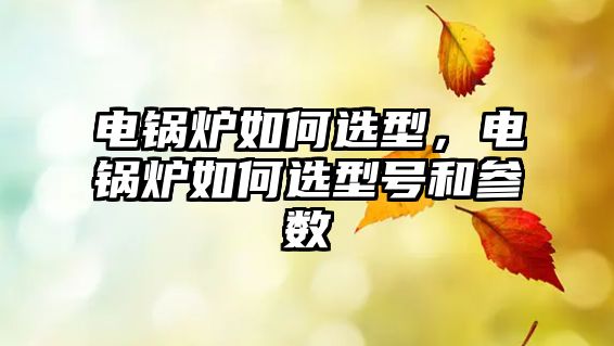 電鍋爐如何選型，電鍋爐如何選型號(hào)和參數(shù)