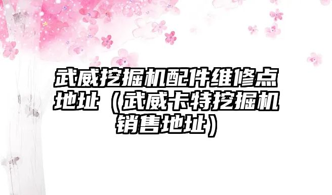 武威挖掘機配件維修點地址（武威卡特挖掘機銷售地址）