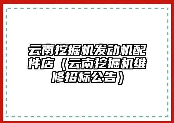 云南挖掘機發動機配件店（云南挖掘機維修招標公告）