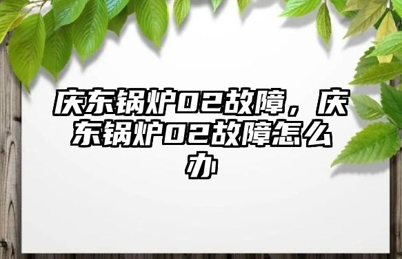 慶東鍋爐02故障，慶東鍋爐02故障怎么辦