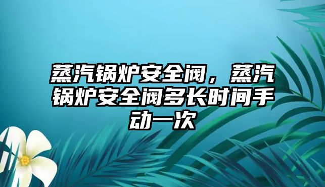 蒸汽鍋爐安全閥，蒸汽鍋爐安全閥多長時(shí)間手動一次