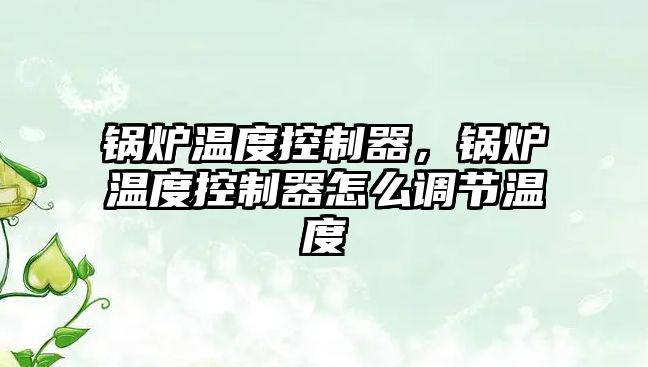 鍋爐溫度控制器，鍋爐溫度控制器怎么調節溫度