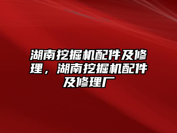 湖南挖掘機配件及修理，湖南挖掘機配件及修理廠