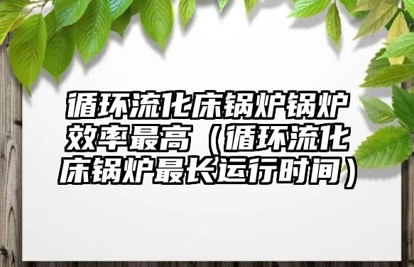 循環流化床鍋爐鍋爐效率最高（循環流化床鍋爐最長運行時間）