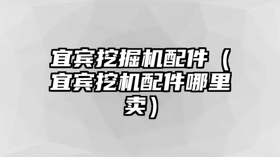 宜賓挖掘機配件（宜賓挖機配件哪里賣）