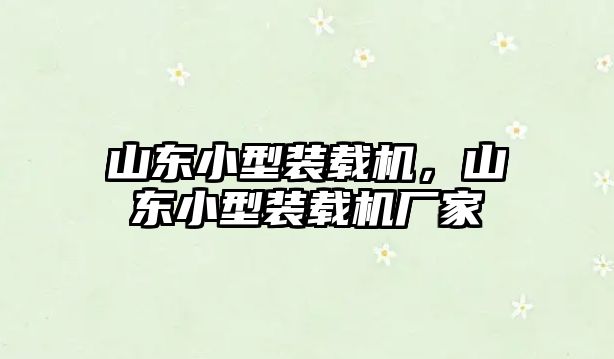 山東小型裝載機，山東小型裝載機廠家