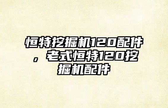 恒特挖掘機120配件，老式恒特120挖掘機配件