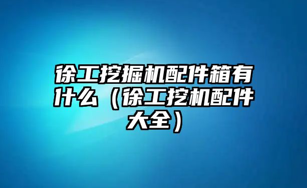 徐工挖掘機配件箱有什么（徐工挖機配件大全）