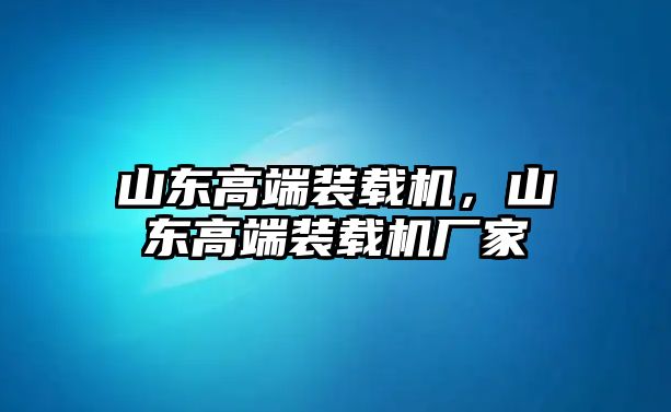 山東高端裝載機，山東高端裝載機廠家