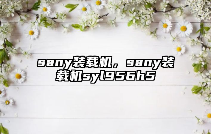 sany裝載機，sany裝載機syl956h5