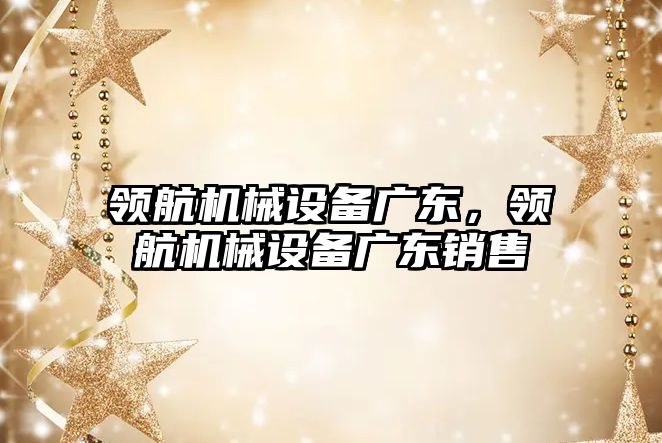 領(lǐng)航機械設(shè)備廣東，領(lǐng)航機械設(shè)備廣東銷售