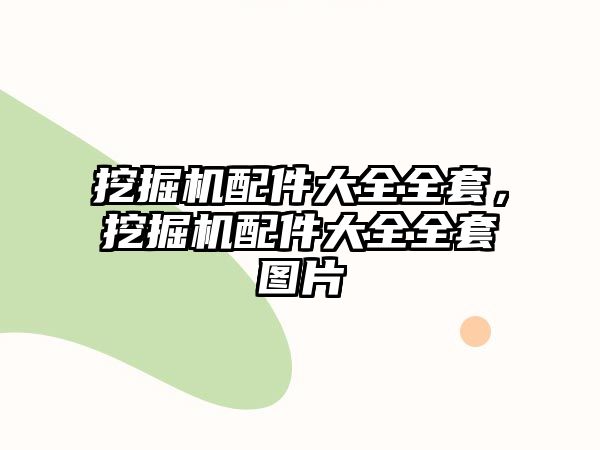 挖掘機配件大全全套，挖掘機配件大全全套圖片