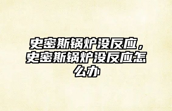 史密斯鍋爐沒反應，史密斯鍋爐沒反應怎么辦