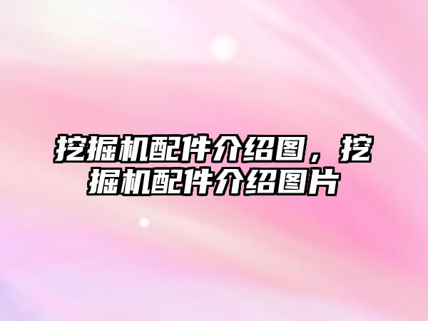 挖掘機配件介紹圖，挖掘機配件介紹圖片