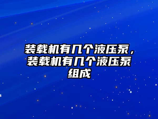 裝載機(jī)有幾個(gè)液壓泵，裝載機(jī)有幾個(gè)液壓泵組成