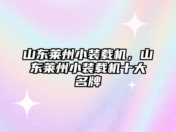 山東萊州小裝載機，山東萊州小裝載機十大名牌