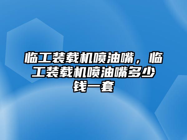 臨工裝載機(jī)噴油嘴，臨工裝載機(jī)噴油嘴多少錢一套