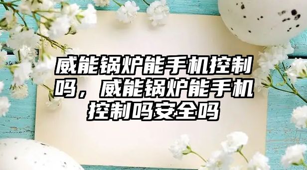 威能鍋爐能手機控制嗎，威能鍋爐能手機控制嗎安全嗎