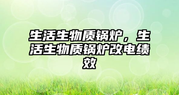 生活生物質(zhì)鍋爐，生活生物質(zhì)鍋爐改電績效