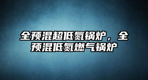 全預混超低氮鍋爐，全預混低氮燃氣鍋爐