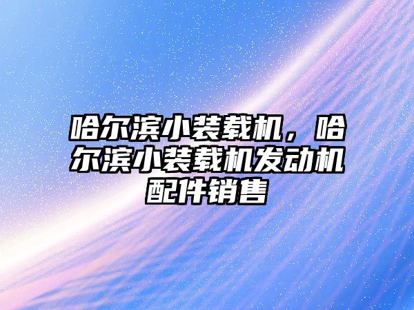 哈爾濱小裝載機，哈爾濱小裝載機發動機配件銷售