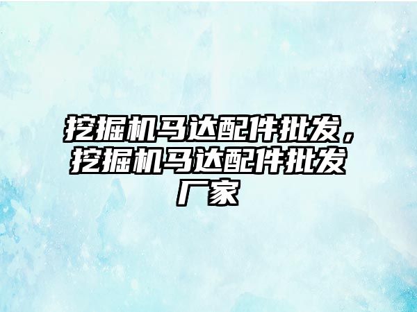 挖掘機馬達配件批發，挖掘機馬達配件批發廠家