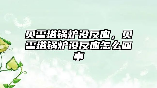 貝雷塔鍋爐沒反應，貝雷塔鍋爐沒反應怎么回事