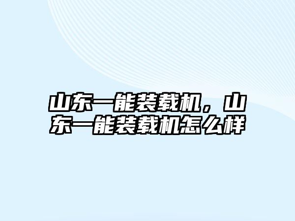 山東一能裝載機，山東一能裝載機怎么樣