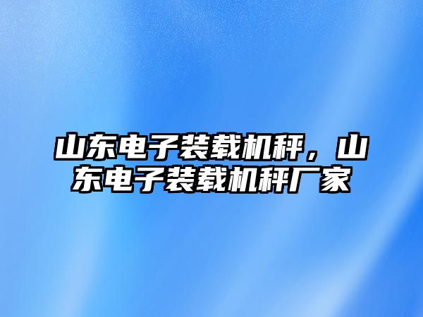 山東電子裝載機秤，山東電子裝載機秤廠家