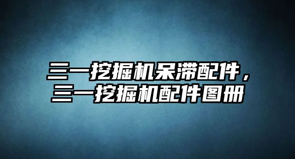 三一挖掘機呆滯配件，三一挖掘機配件圖冊