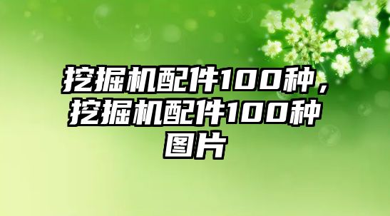 挖掘機配件100種，挖掘機配件100種圖片